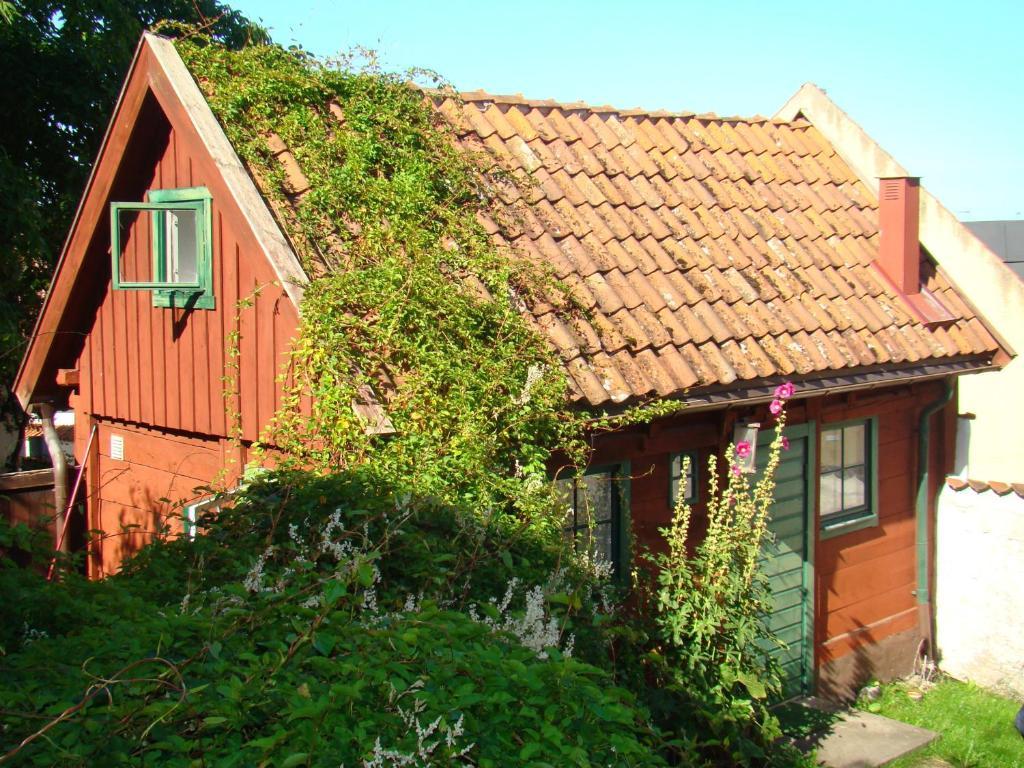 Visby Logi&Vandrarhem Værelse billede